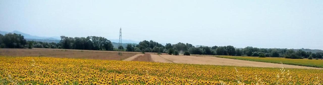 Splendido Ampio Appartamento A Montepulciano Stazione المظهر الخارجي الصورة