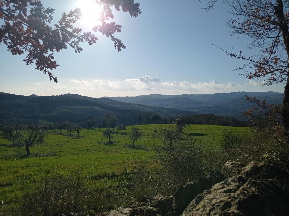 Splendido Ampio Appartamento A Montepulciano Stazione المظهر الخارجي الصورة