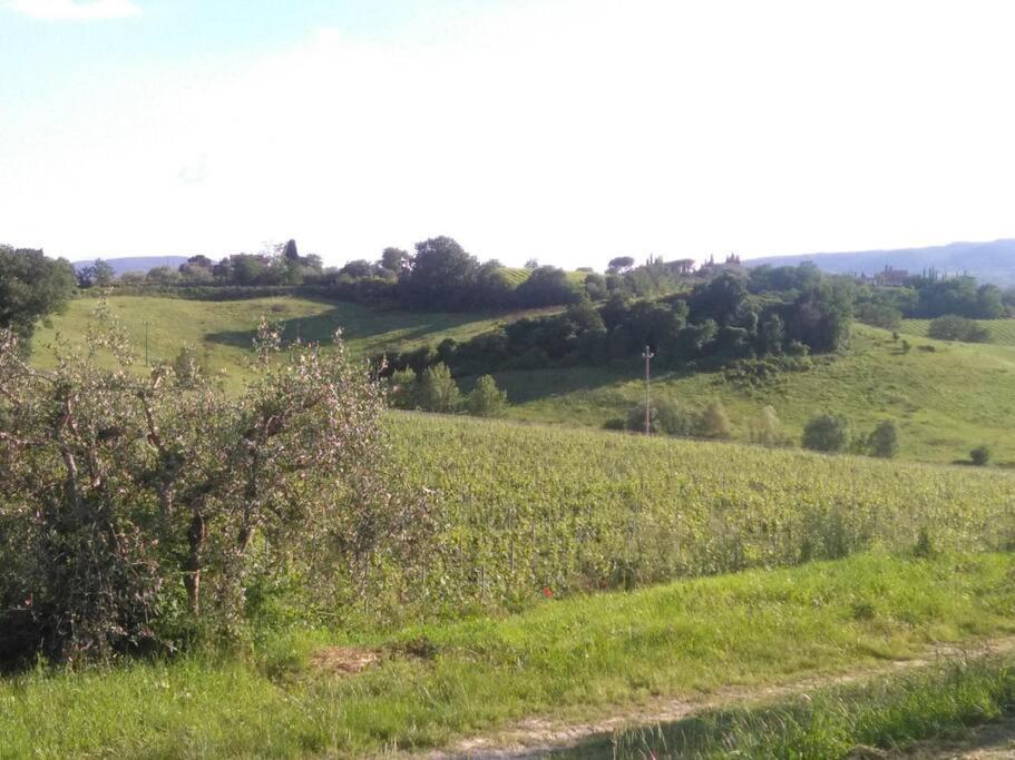 Splendido Ampio Appartamento A Montepulciano Stazione المظهر الخارجي الصورة