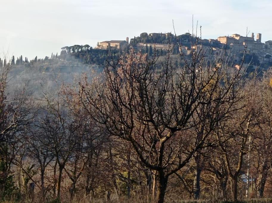 Splendido Ampio Appartamento A Montepulciano Stazione المظهر الخارجي الصورة
