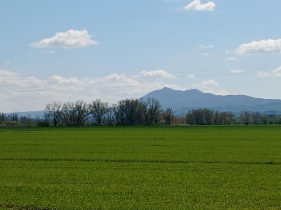 Splendido Ampio Appartamento A Montepulciano Stazione المظهر الخارجي الصورة