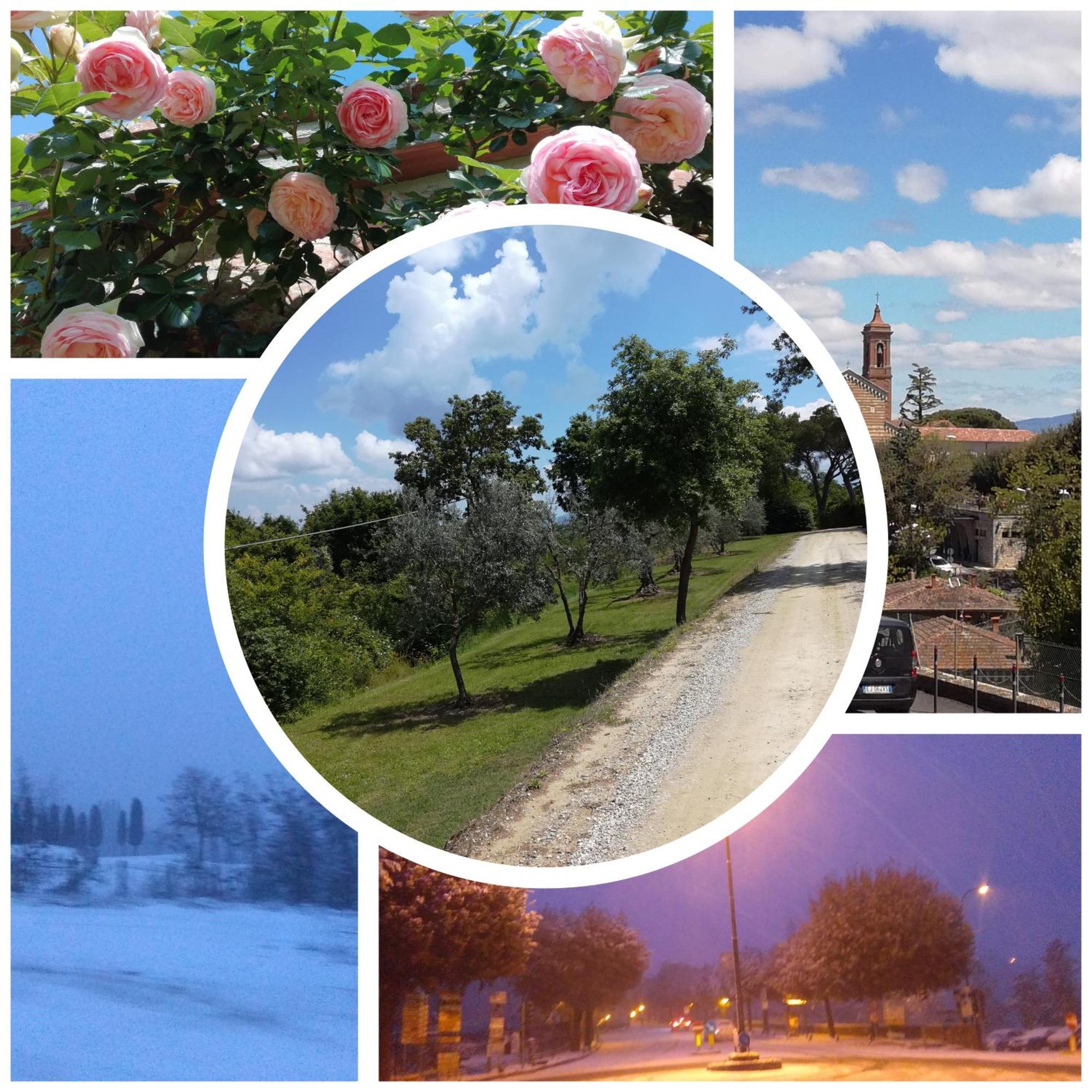 Splendido Ampio Appartamento A Montepulciano Stazione المظهر الخارجي الصورة
